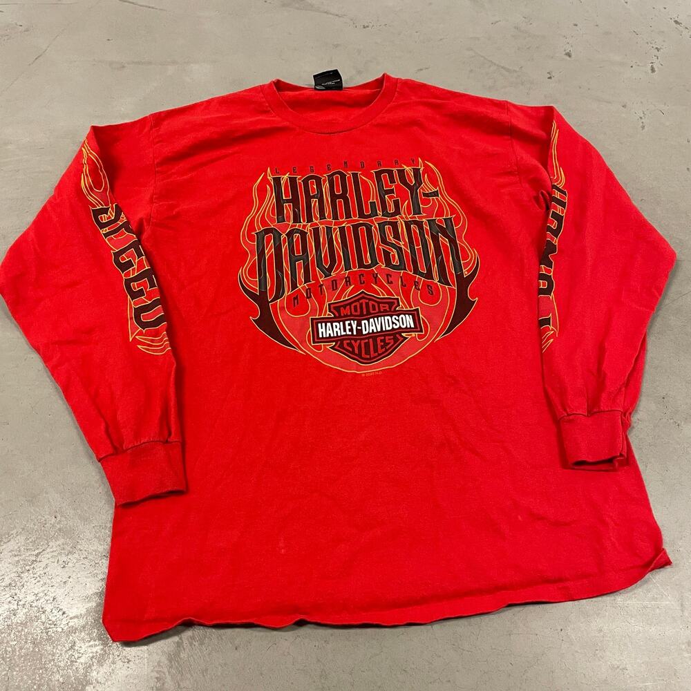 Vintage Y2K flamed sleeved Harley Davidson t-shirt